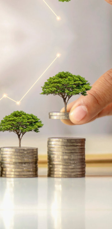 A a pile of coin with a miniture house of a tree on top of a pile of coin